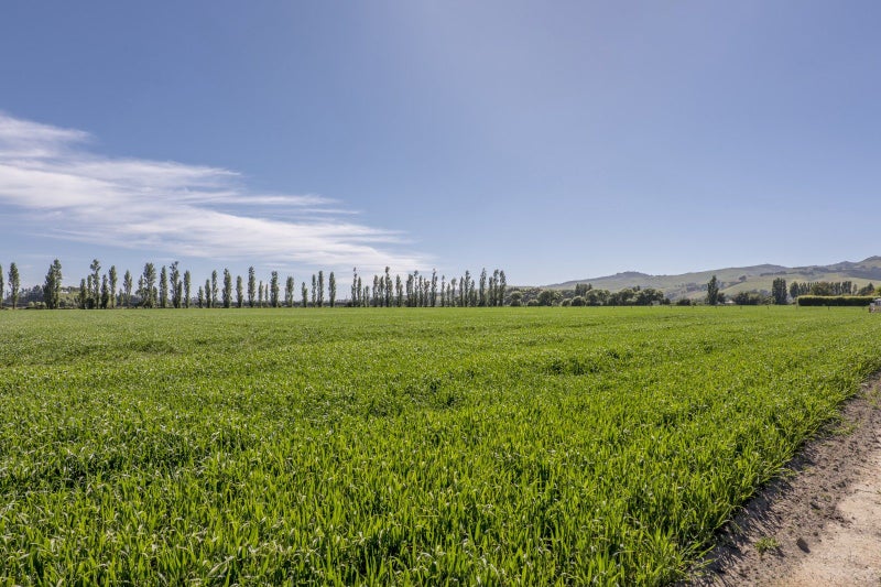 136 Hayes Road, Christchurch - Carousel 6