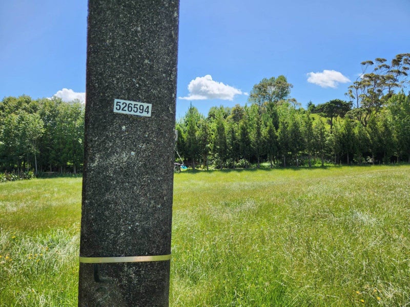 118 Wrights Road, RAGLAN, Raglan - Carousel 24