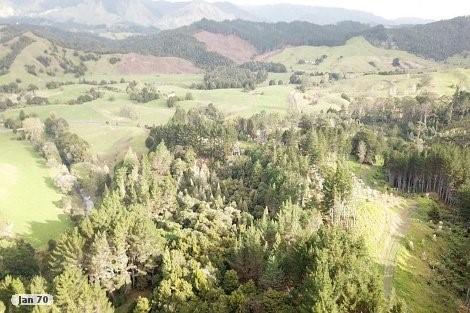 613 Awaroa Road, Broadwood - Carousel 2