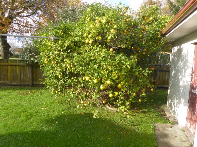 11 Duna Place, Takaro, Palmerston North - Carousel 16