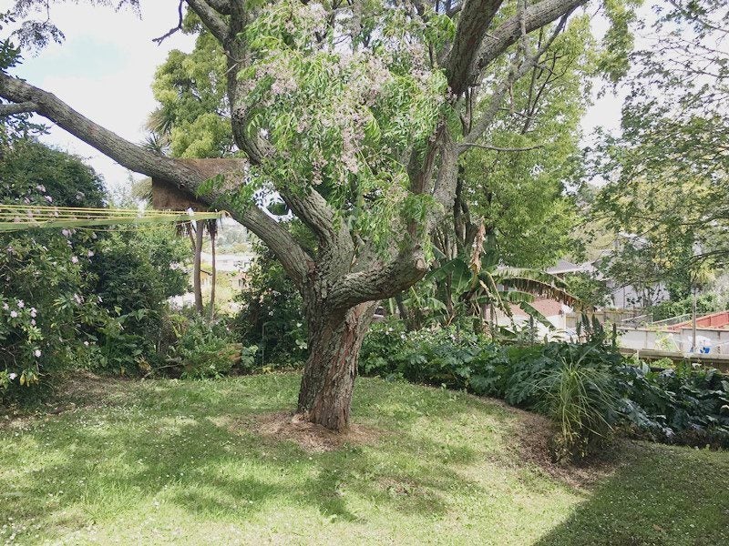 28 Barker Rise, Northcross, Auckland - Carousel 13