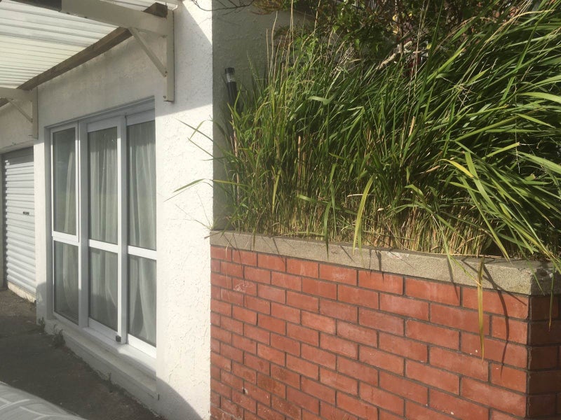 90 Hills Road, Otara, Auckland - Carousel 15