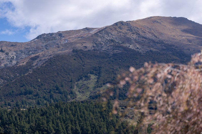 20 Hewson Crescent, Wanaka - Carousel 20