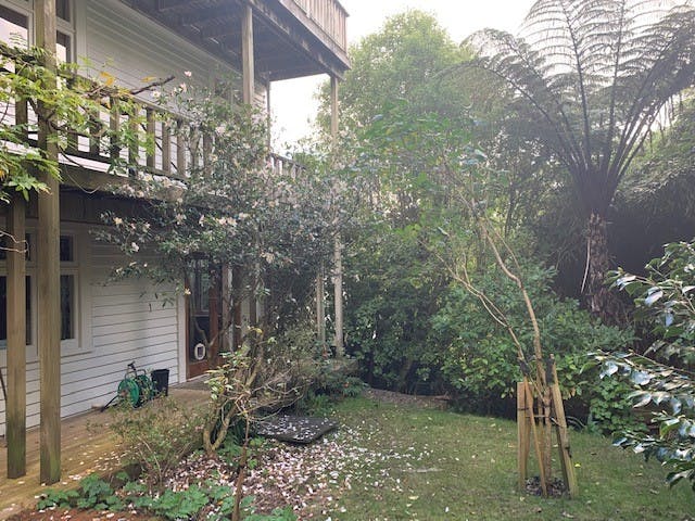 141 Kelburn Parade, Kelburn, Wellington - Carousel 14