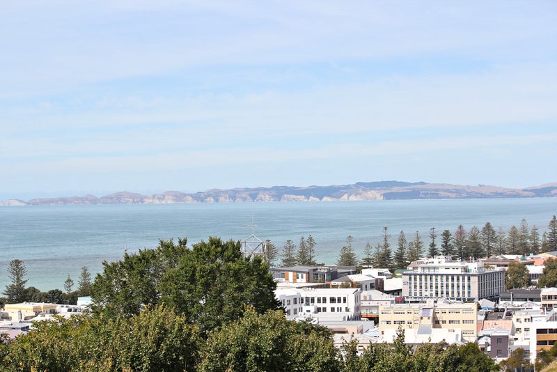 15 Corry Avenue, Bluff Hill, Napier - Carousel 1