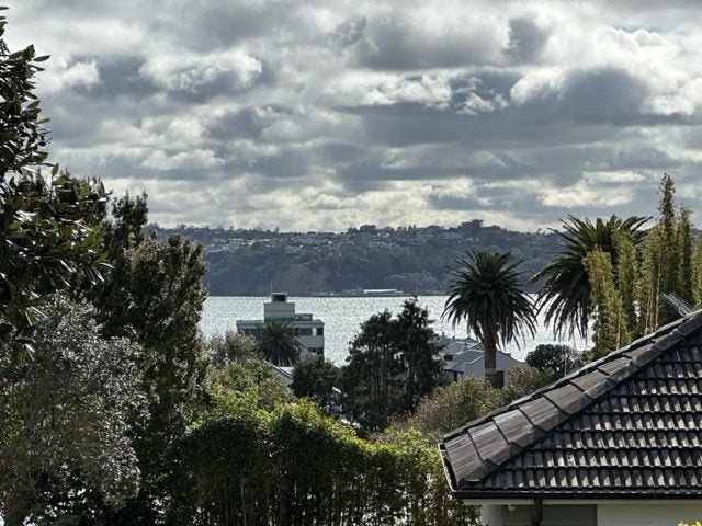 5/29 Hamilton Road, Herne Bay, Auckland - Carousel 14