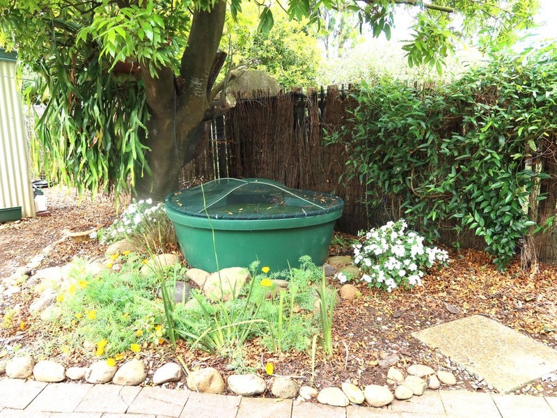 52 Logan Street, Dargaville - Carousel 17