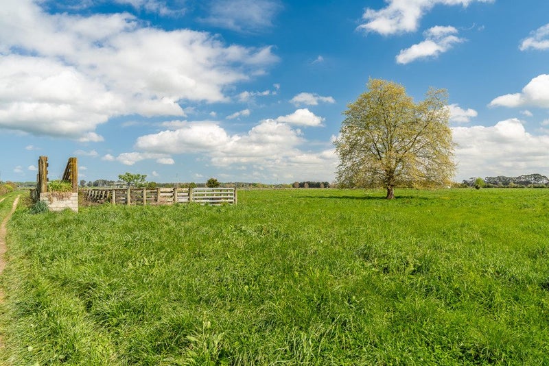 411 Marychurch Road, MATANGI, HAMILTON - Carousel 2