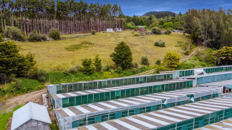 0 Pipiwai Road, Matarau, Kamo - Carousel 1