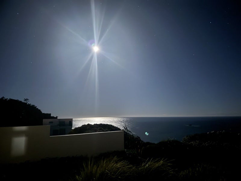 25 Highgrove, Saint Clair, Dunedin - Carousel 38