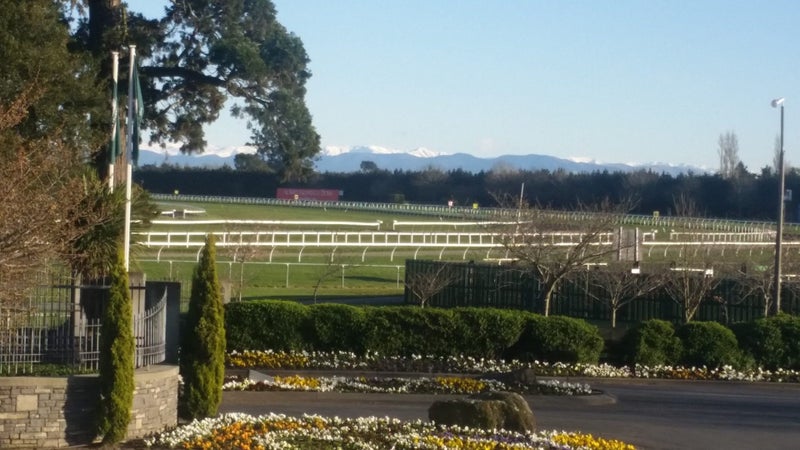 144 Racecourse Road, Sockburn, Christchurch - Carousel 10