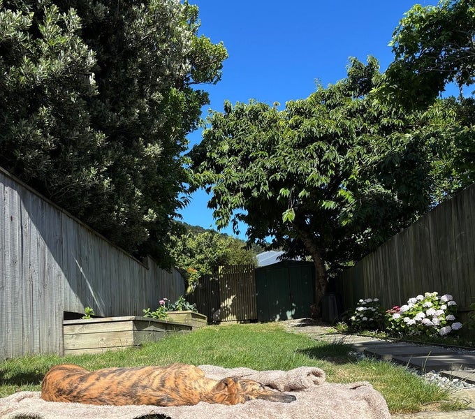 246 Adelaide Road, Newtown, Wellington - Carousel 12
