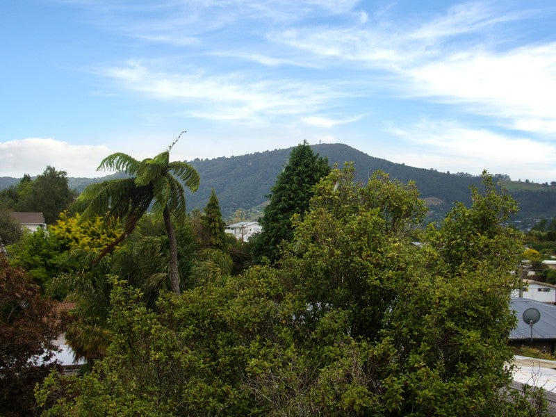 411 Pukehangi Road, Pomare, Rotorua - Carousel 16