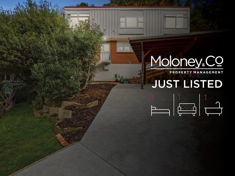 59 Awarua Street, Ngaio, Wellington - Carousel 1