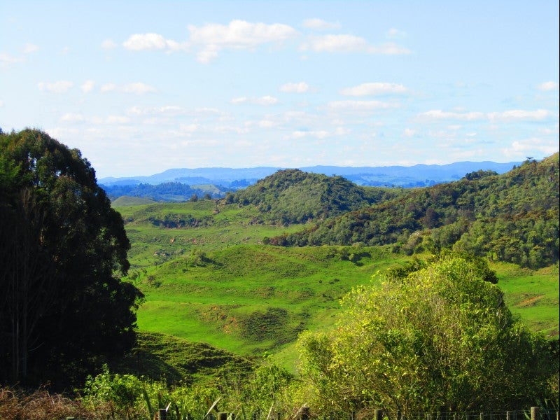 0 Fullerton Road, Waitomo, Te Kuiti - Carousel 2