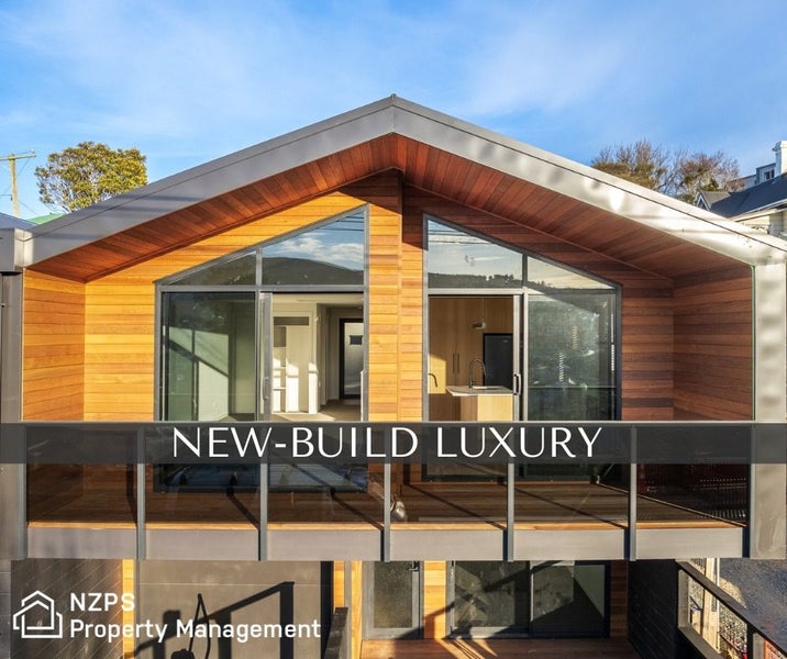 45B Ann Street, Kaikorai, Dunedin - Carousel 1