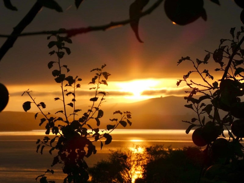 3 Kaka Road, Saint Leonards, Dunedin - Carousel 27