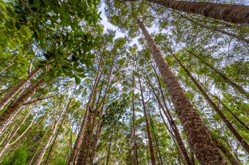 138 Mahurangi West Road, Puhoi, Warkworth - Carousel 2