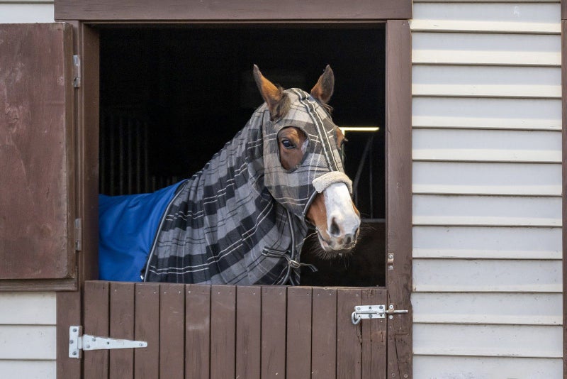 573 Burnham School Road, Christchurch - Carousel 32