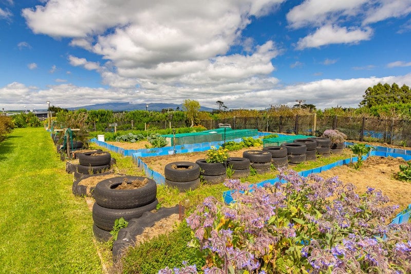 347 Henwood Road, Hillsborough - Carousel 27