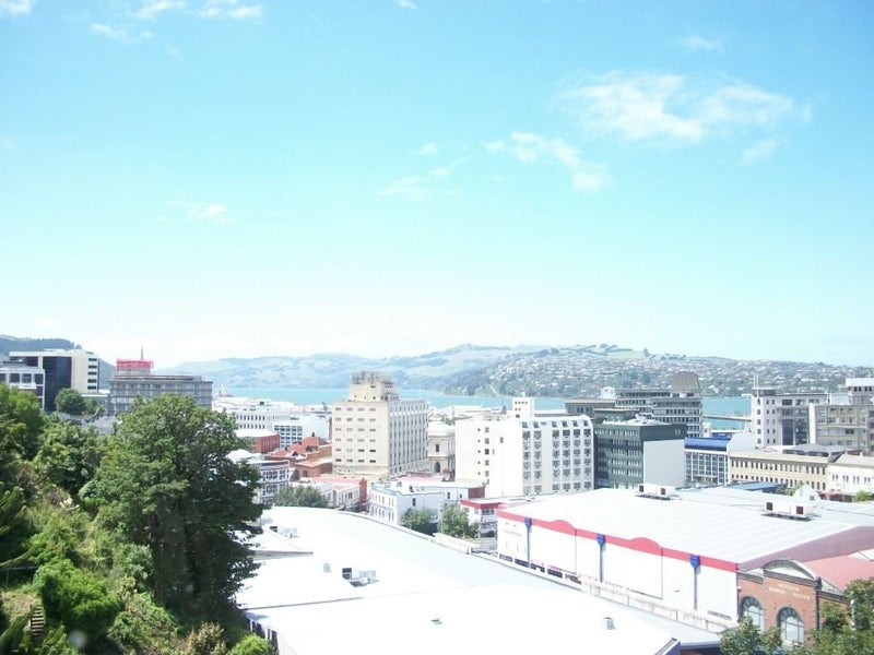 23 Clark Street, Dunedin Central, Dunedin - Carousel 2