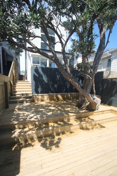 44 Thompson Street, Mount Cook, Wellington - Carousel 17