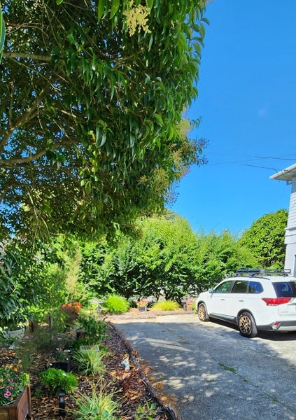 59B Stamford Park Road, Mount Roskill, Auckland - Carousel 11