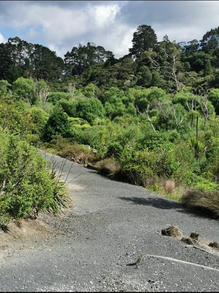 50/5 Perekia Street, Albany, Auckland - Carousel 13