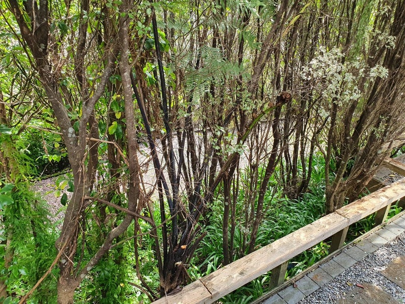 107 Viewmont Drive, Harbour View, Lower Hutt - Carousel 20