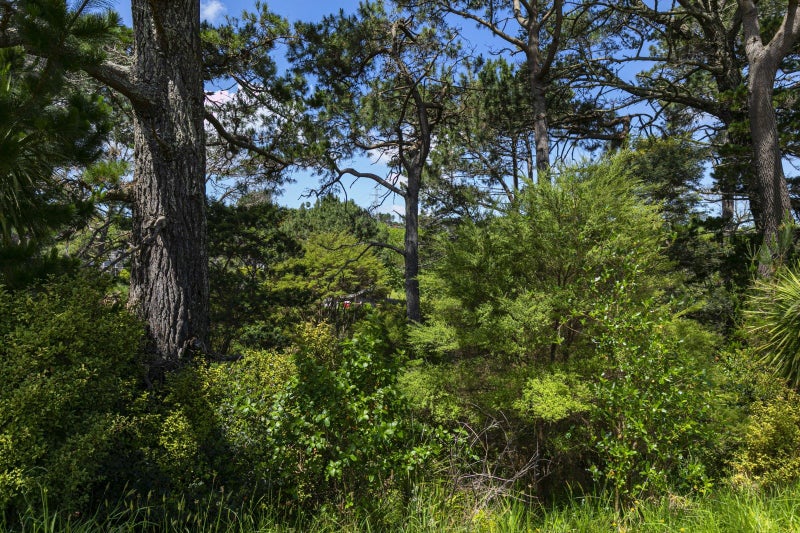 119D Wake Road, Coatesville - Carousel 7