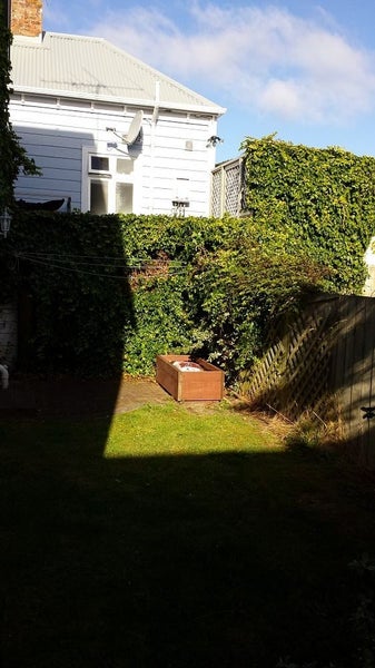 10 Somerset Avenue, Newtown, Wellington - Carousel 12