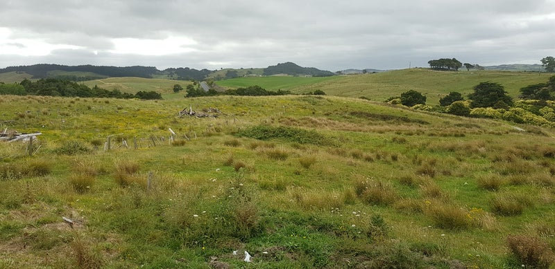 1516 State Highway 12, Maungaturoto - Carousel 12