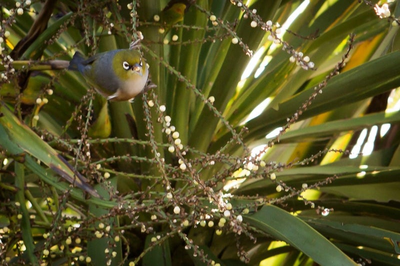 69 Lavaud Street, Berhampore, Wellington - Carousel 19