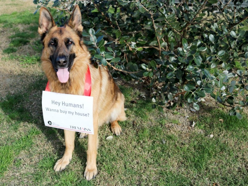 53 Squire Drive, Awatoto, Napier - Carousel 1