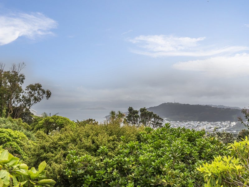 15 Mitchell Street, Brooklyn, Wellington - Carousel 2