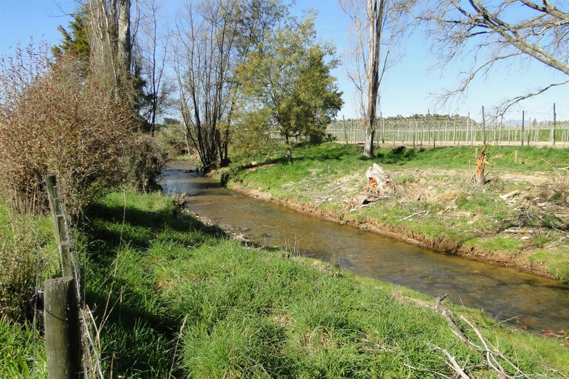 50 Rosedale Road, Upper Moutere - Carousel 20