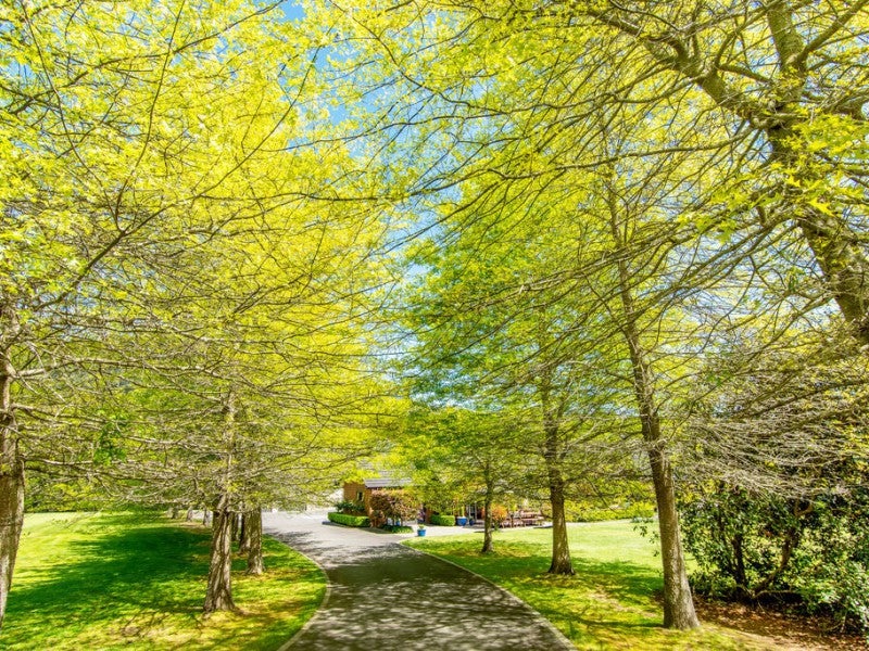 150 Munro Road, Minden, Tauranga - Carousel 2