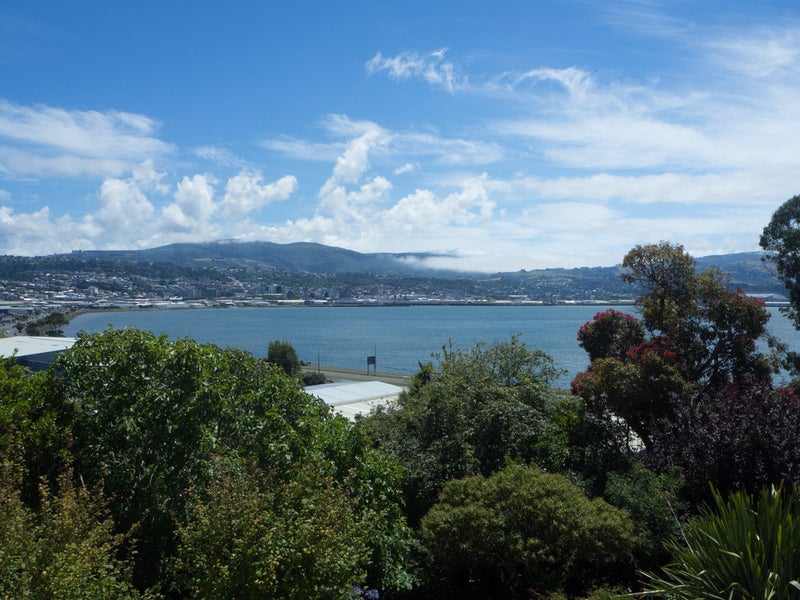 21 Sunshine Lane, Musselburgh, Dunedin - Carousel 23