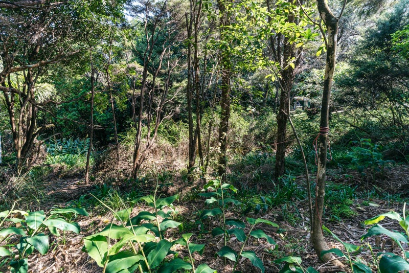 12 O'brien Road, Ōmiha, Waiheke Island - Carousel 1