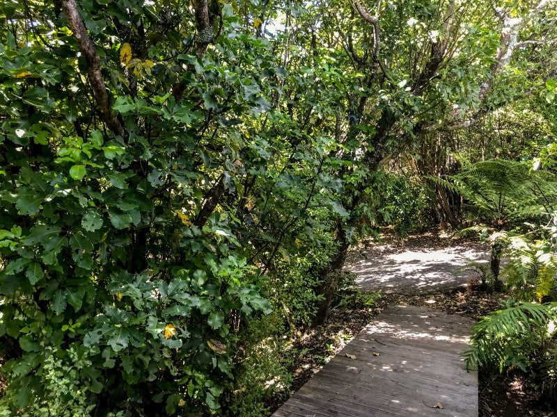 26 Taringa Avenue, Kuratau, Tūrangi - Carousel 15