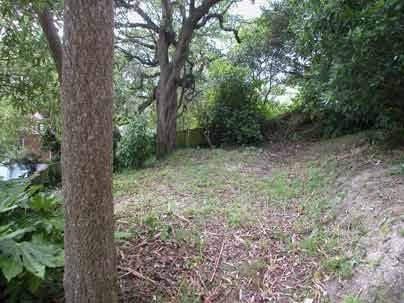 111 Hamilton Road, Hataitai, Wellington - Carousel 11