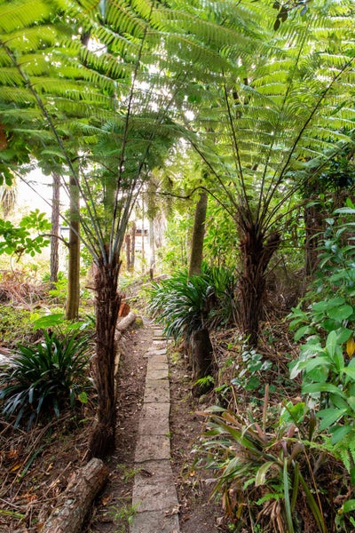 50 Castor Bay Road, Castor Bay, Auckland - Carousel 34