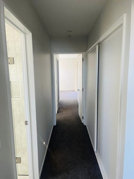 19 Borthwick Street, Belfast, Christchurch - Carousel 11