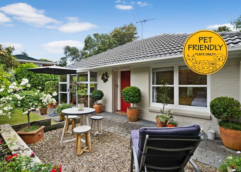 1/20 St Peters Street, Northcote, Auckland - Carousel 1