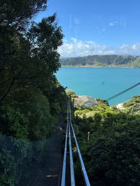 113 Grafton Road, Roseneath, Wellington - Carousel 21