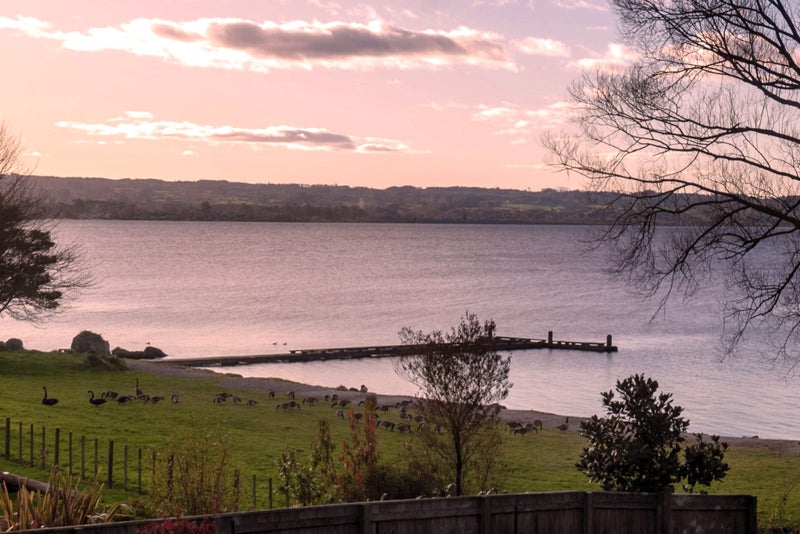 11 Gemini Place, Kawaha Point, Rotorua - Carousel 24