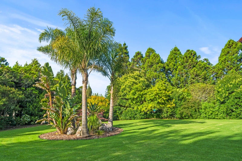 611 Crane Road, Kamo - Carousel 31