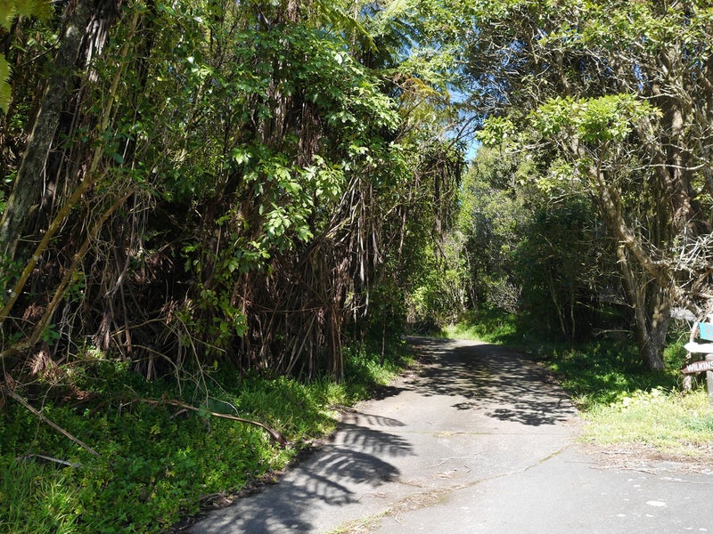 222 Park Road, Belmont, Lower Hutt - Carousel 14