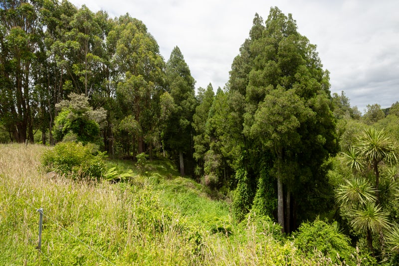 196A Collie Road, Te Kowhai - Carousel 20