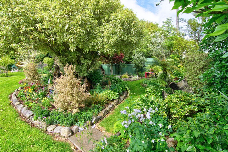 115 Cockburn Street, Kuripuni, Masterton - Carousel 21